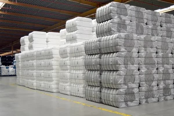 Fiber & Textile